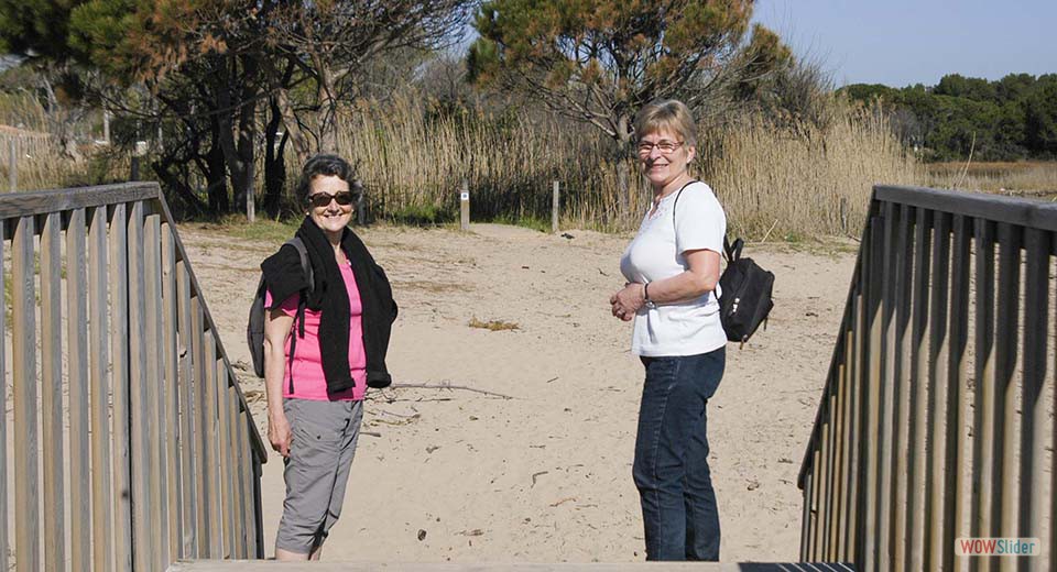 23 - Descente à la plage (Marais à Saint-Aygulf) 